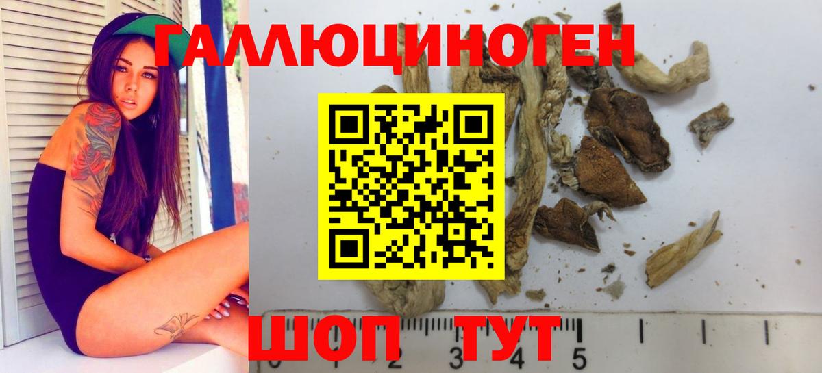 Псилоцибиновые грибы Cubensis  Вход с VPN  Махачкала 