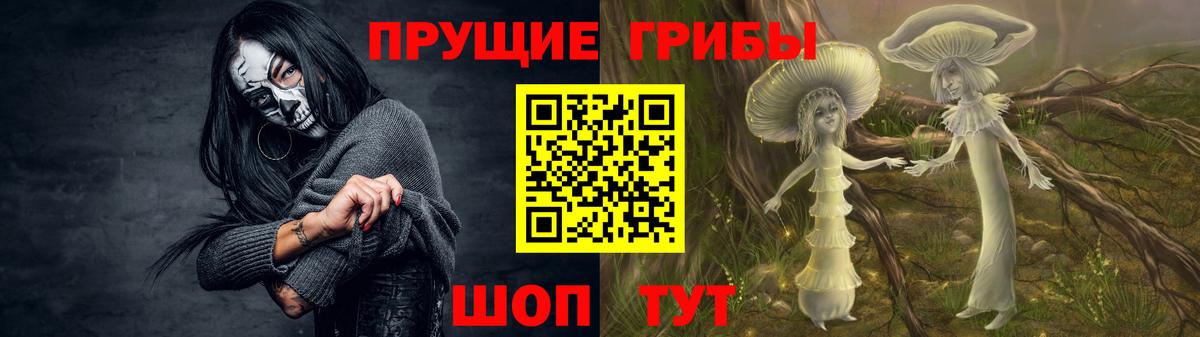 Галлюциногенные грибы GOLDEN TEACHER Махачкала